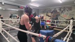 TotalSportek: Your Ultimate Hub for Free Live Sports Streaming